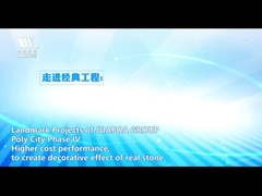 Система керамического поверхностного Joaboa декоративная & энергосберегающая интегрированная плакирования